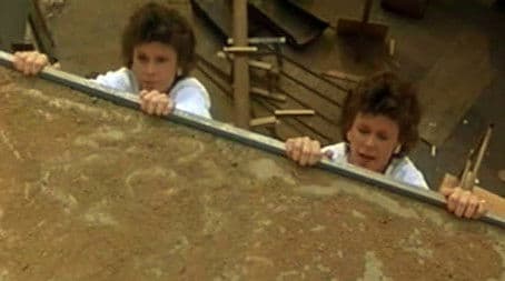 Odds on a Dead Pigeon