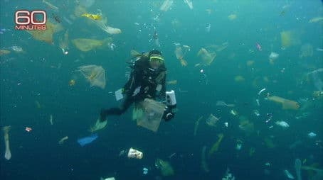 Taking Aim at Opioids, Plastic Plague