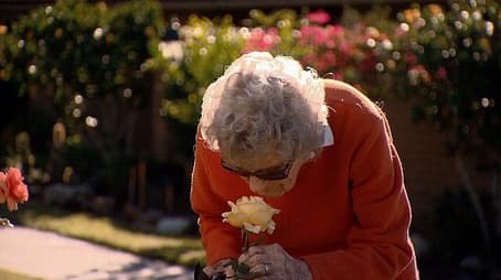 Attacks on the Judiciary; 90+; Notes of Grace