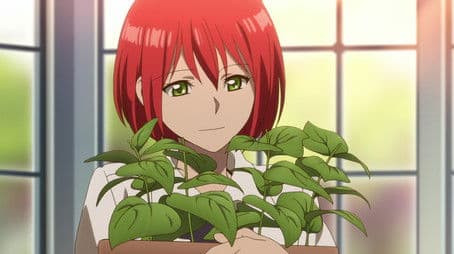 The Red that Spins Fate