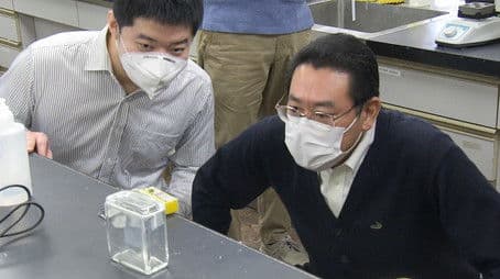 Researchers Develop Plastic That Decomposes After Use