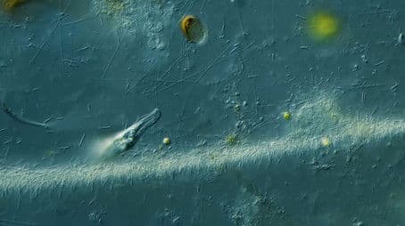 Tumbling Down Invisible Highways