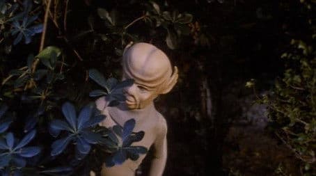 Strange Visitor to Hazzard