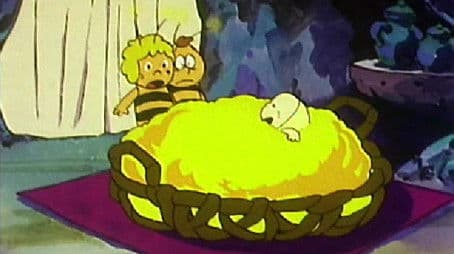 Shelter From the Wind