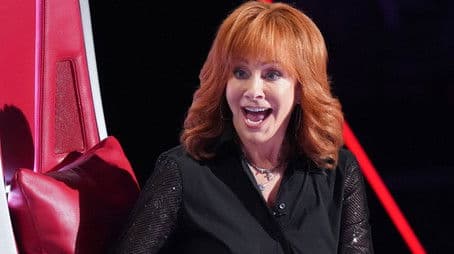 The Blind Auditions (3)