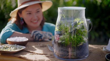 Making Mini-Climates