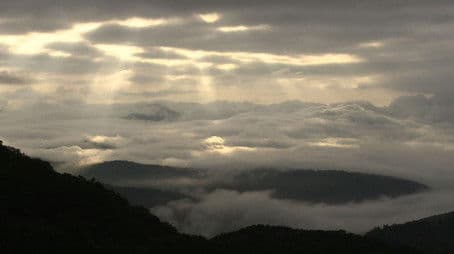 The Forest of Shimukappu