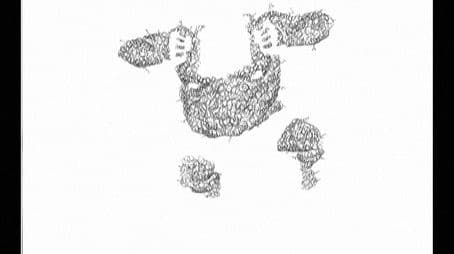 Naked Beach Frenzy: DVD Easter Egg 3