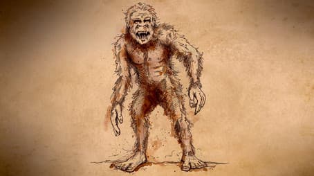 Mystery of the Minnesota Wildman