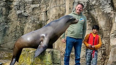 Sea Lion and Capybara