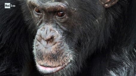 Childhood obesity, volcanoes, autism