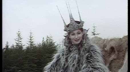 The Lion, the Witch and the Wardrobe (2)