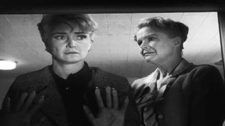 A Bridge Across Five Days