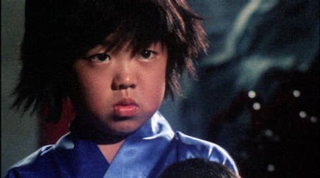 Pigsy Learns a Lesson