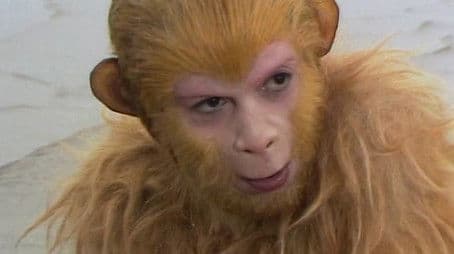 The Birth of Monkey King