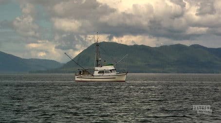 Trouble at the 7-11 Ranch