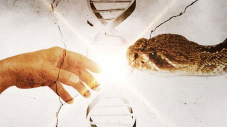 Sumerian Kings List and Annunaki Oaths