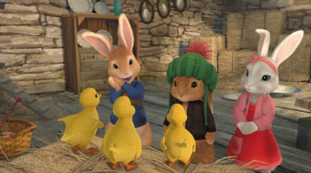 The Tale of the Missing Ducklings