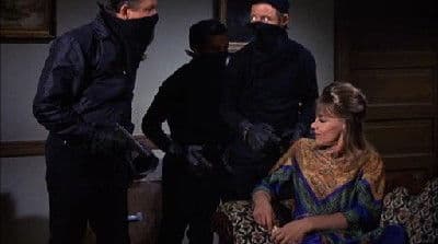 Fat Hermann, Go Home