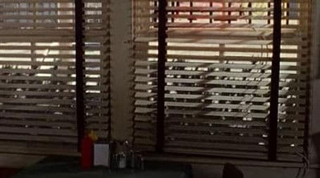 The Sounds of Silence