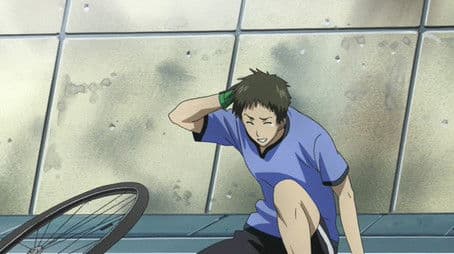 Little Wings Fly High