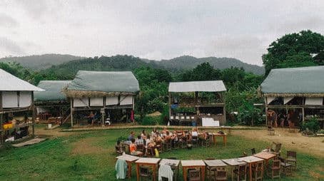 Welcome to the Jungle