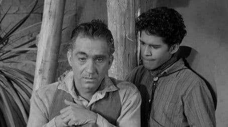 Goodbye Five Hundred Pesos