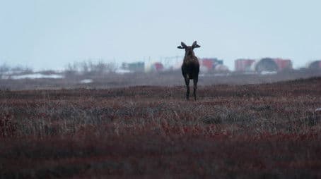 High Risk, High Reward