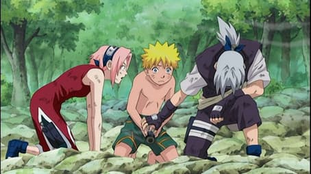 The Scroll's Secret: No Peeking Allowed