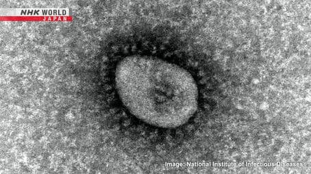 Japan to Downgrade COVID Classification on May 8