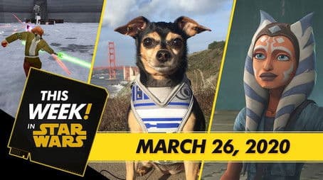 Cute Star Wars Pets, New Updates to Galaxy of Heroes, and More!