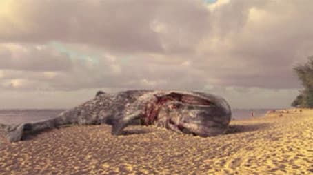 A Divorce to Remember