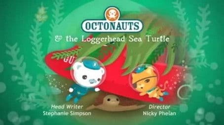 The Loggerhead Sea Turtle