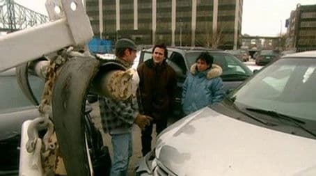 autour de l'adoption 1 - l'accrochage en auto - l'agence d'adoption