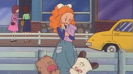 The Cat and Dog’s Failure