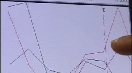 The Personality Test