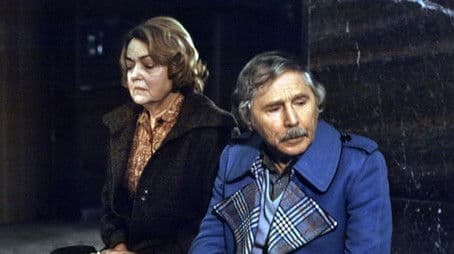 Der zersprungene Spiegel