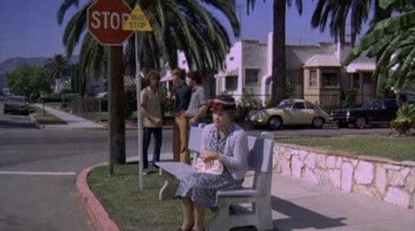 Log 095: Purse Snatcher