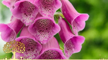 Compilations 2023: Episode 4