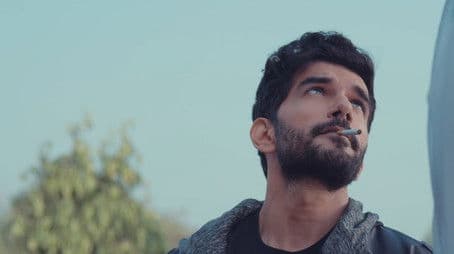 A Bitch's Best Friend