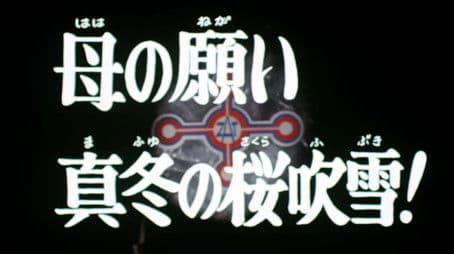 Mother's Wish - A Mid-Winter Cherry-Blossom Blizzard