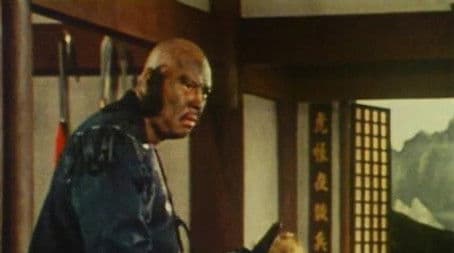 A Foolish Sage Who Got Involved