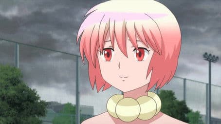 Recovery Cream / Rumors / Mushroom Hunting