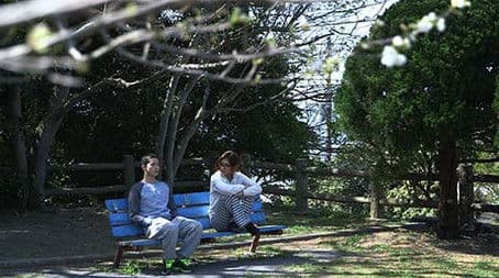 Brand New Terrace House