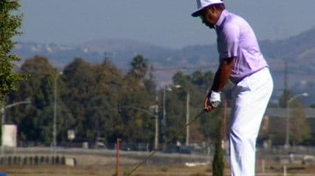 Tiger's Prowl - Tiger Talk