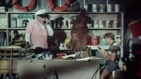 Flipper and the Shark Cage