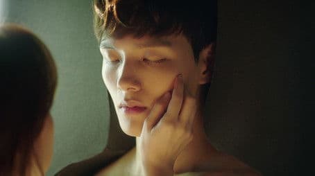 Don’t Fall in Love with Him