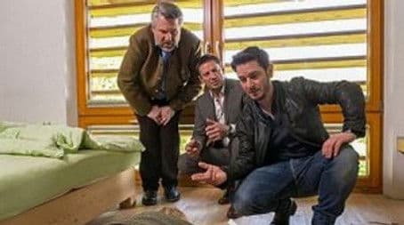 Everything is new in May