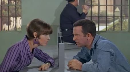 The Whole Tooth and . . .