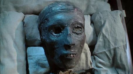 Hunt for Tut's Blood